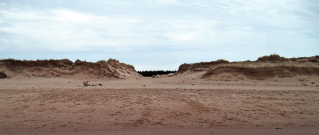 Ouverture dans les dunes / Dune's gap