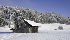 Winterimpression bei Bülach (© Buelipix)