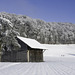 Winterimpression bei Bülach (© Buelipix)