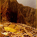 Macchu Picchu Pérou