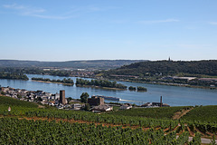 Rüdesheim - Seilbahnfahrt (02)
