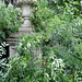 st george's gardens, bloomsbury, london