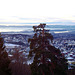 NO - Oslo - View from Holmenkollen