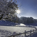 der erste Schnee im Winter 2023-2024 im Zürcher Unterland (© Buelipix)