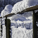 der erste Schnee im Zürcher Unterland in diesem Winter (© Buelipix)