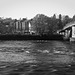 Dumbarton Bridge