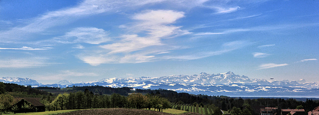 Panoramablick bei Föhnwind von Gornhofen über den Bodensee in die Schweiz bis zum Säntis (Note)