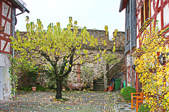 Bad Camberg, Stadtmauerrest