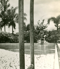Woman and Gardenias in Swimming Pool, Hotel Ruiz Galindo, Fortín, Veracruz, Mexico (Detail Right)