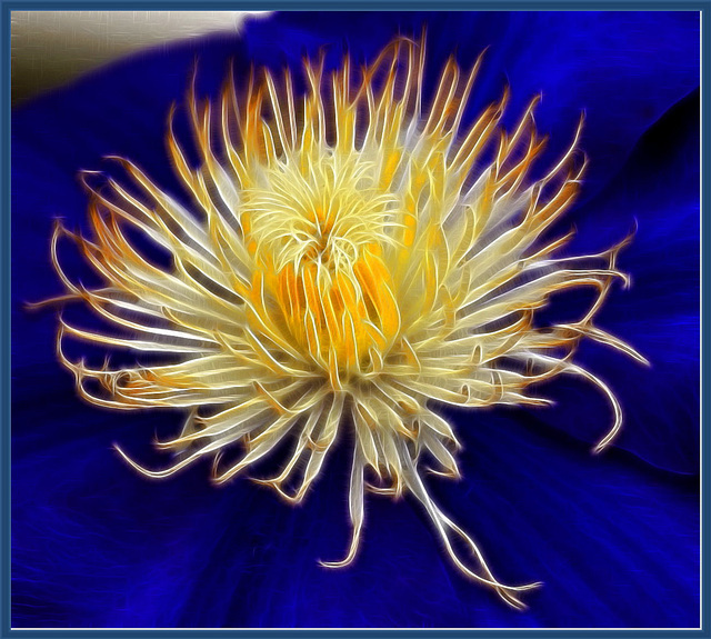 Center of a Clematis... ©UdoSm