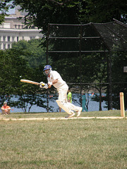 Cricket in America