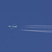 ACE Belgium Freighters Boeing 747-4EVF(ER) OO-ACF LGG-IAH X7571 FRH571 FL320