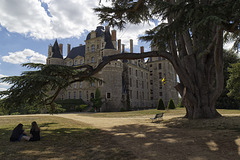 Château de Brissac.