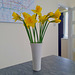 Daffodils from the garden