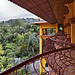 Looking Out – Hotel San Bada, Quepos, Puntarenas Province, Costa Rica