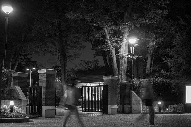 Gate of an university