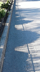 shadow fence - HFF