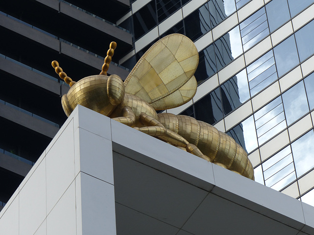Queen Bee (4) - 5 March 2015