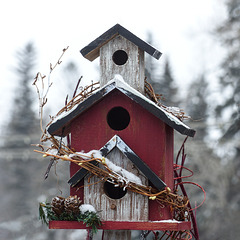 Cosy little birdhouse