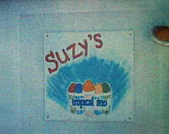Suzy's Tropical Sno