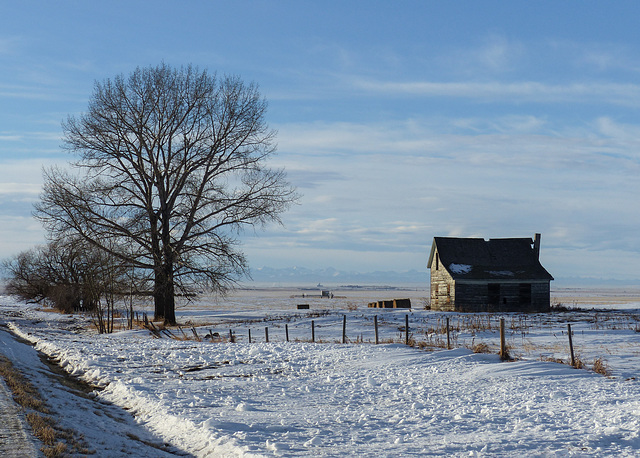 The prairies in winter