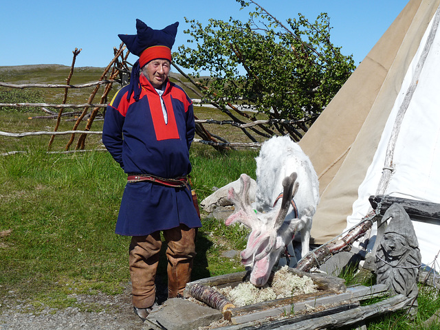 Sami Herdsman with his Reindeer