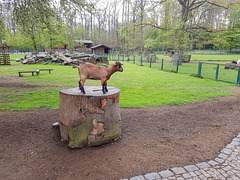 Wildpark Lindenthal