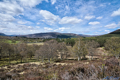 Braemar from the East