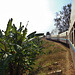 train to Thazi