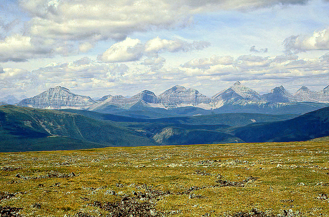 Plateau Mountain Alberta Canada 5th August 1982
