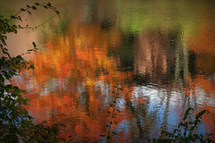 Fall Foliage Reflection