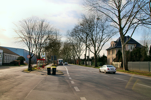 Bottroper Straße (Gladbeck-Ellinghorst) / 15.02.2020