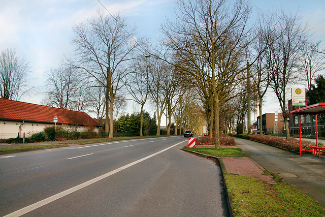 Bottroper Straße (Gladbeck-Ellinghorst) / 15.02.2020