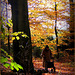 #19 The Elderly lady and her Autumn walk...