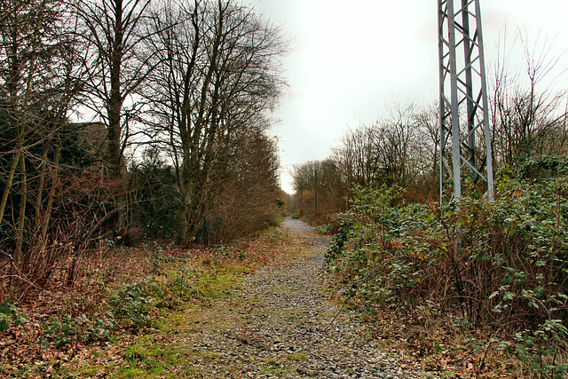 Trasse der ehem. RBH-Zechenbahn (Gladbeck-Ellinghorst) / 15.02.2020
