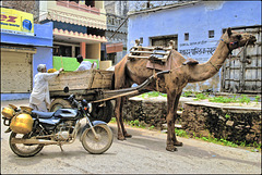 Modes de transport indiens