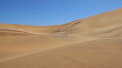 Dune biking