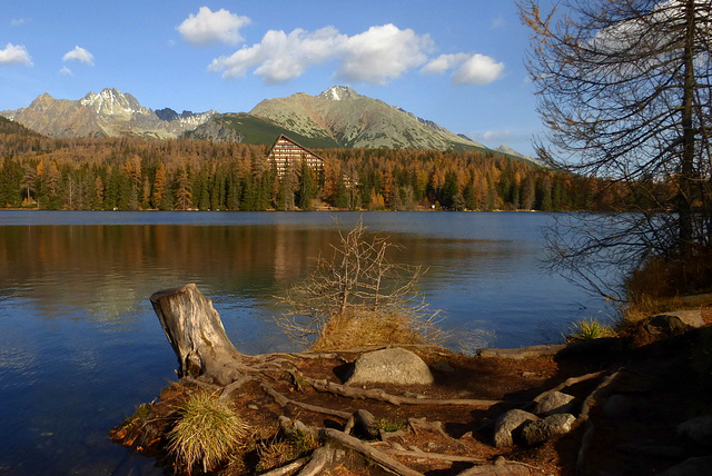 Štrba tarn