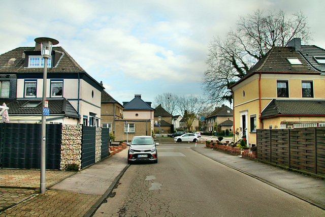 Maria-Theresien-Straße (Gladbeck-Ellinghorst) / 15.02.2020