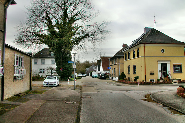 Rüttgerstraße (Gladbeck-Ellinghorst) / 15.02.2020