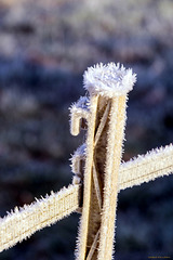 Frostiges Detail