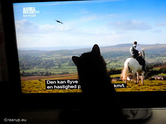 Anything on the telly tonight, Cathie?