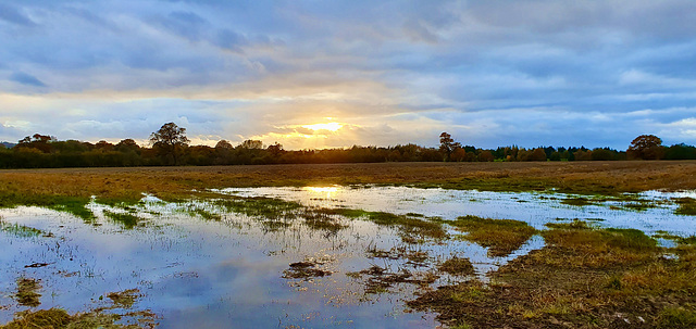 Sunset over flooded fields