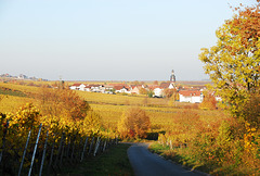Kallstadt/Pfalz - Weinberge rund um Kallstadt