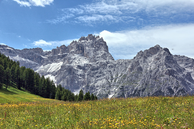 Rotwandwiesen mit Blick auf die Dreischusterspitze 3152 m