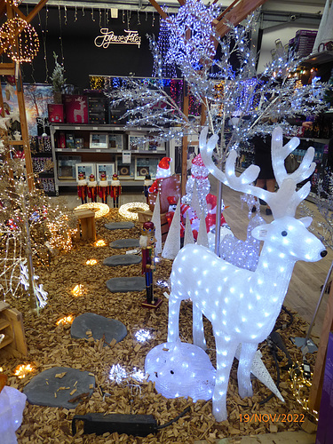 ipernity: NOEL chez BOTANIC Quimper 2/2 - by PascalL