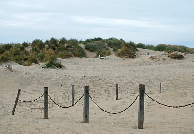 Dunes at Camber Sands ....HFF !!!