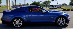 Moi et ma Mustang GT 2007 Spécial California