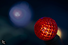 Pictures for Pam, Day 25: Macro Mondays 2.0: Glowing Red Bulb