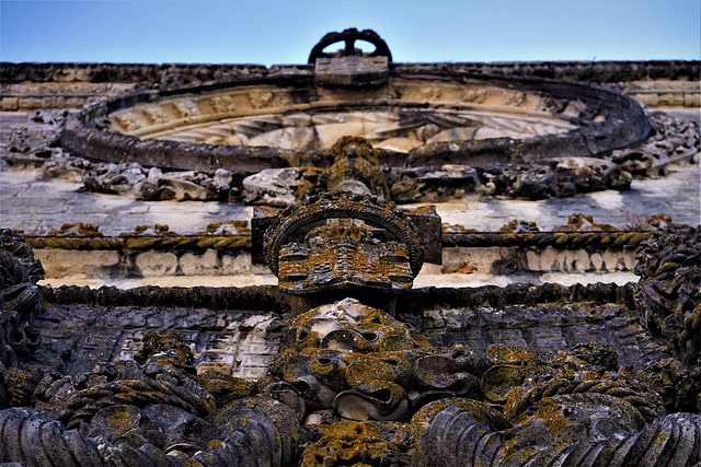 The top of the window I, Chapter House.